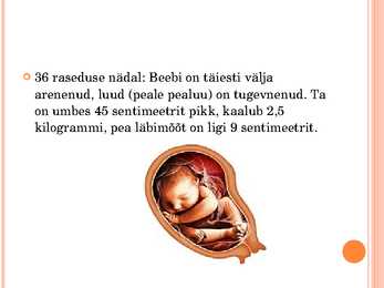 Inimese looteline areng #32