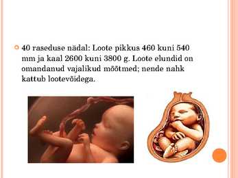 Inimese looteline areng #33