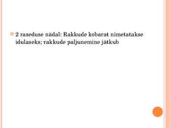 Inimese looteline areng #5