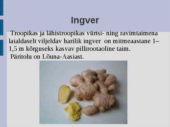 Ingver #2