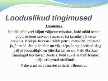 Rootsi #3