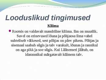 Rootsi #7
