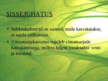 Suhkrukultuurid-viinamarjakasvatus #2