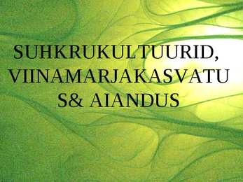Suhkrukultuurid-viinamarjakasvatus