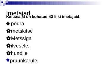 Soomaa Rahvuspark #15