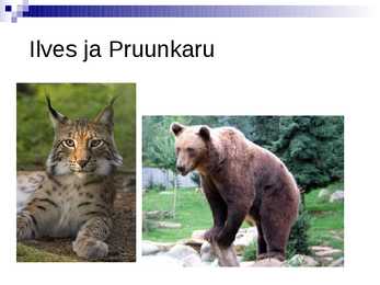 Soomaa Rahvuspark #16