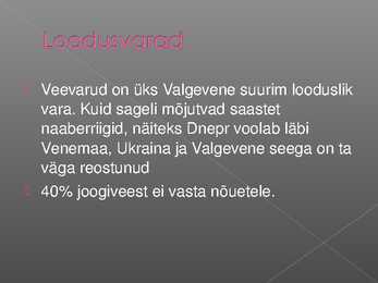 Valgevene majandus #9