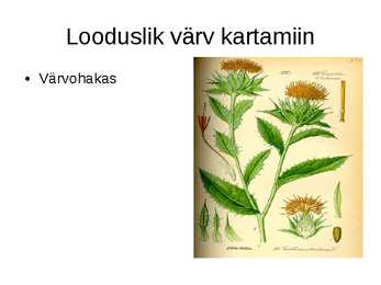 Toidu lisaained #19