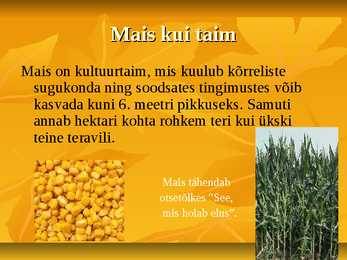 Powerpoint geograafias-Mais #2