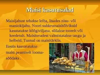 Powerpoint geograafias-Mais #3