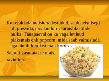 Powerpoint geograafias-Mais #4