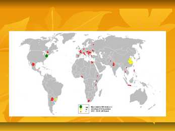 Powerpoint geograafias-Mais #8