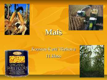 Powerpoint geograafias-Mais