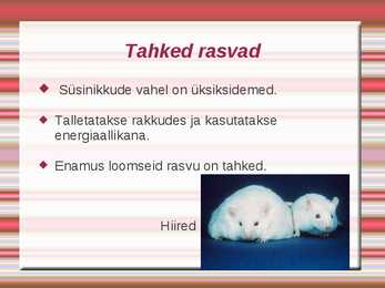 Rasvad #4