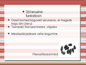 Rasvad #8