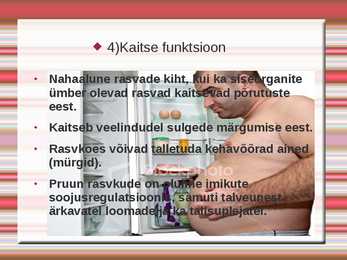 Rasvad #9