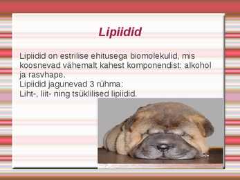 Rasvad