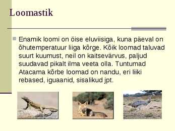 Atacama kõrb #6