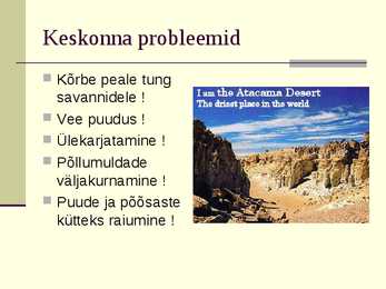 Atacama kõrb #9