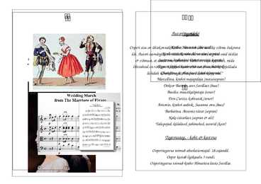 Figaro pulm #2