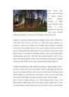 Padise klooster #4