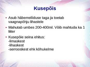 Erituselundkond #12