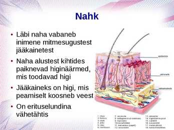 Erituselundkond #14