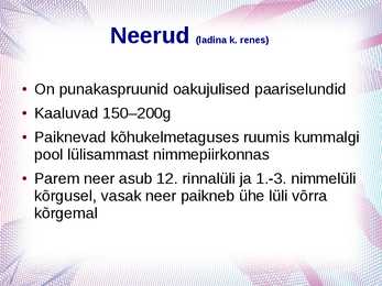 Erituselundkond #3