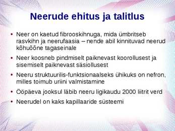 Erituselundkond #5