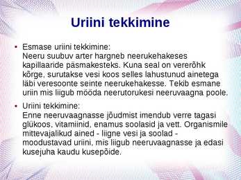 Erituselundkond #9