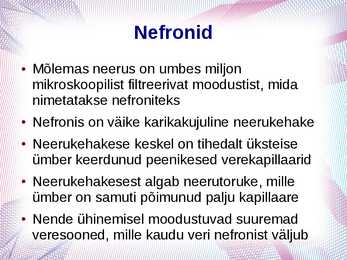 Erituselundkond #10