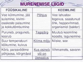 Murenemine-Esitlus #5