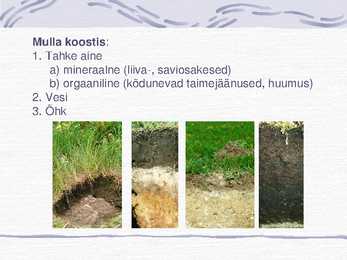 Muld-Esitlus #2