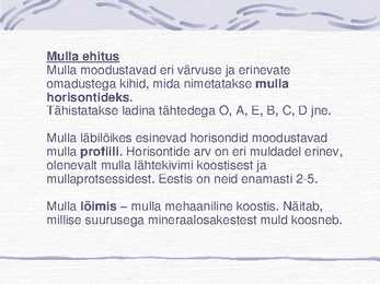Muld-Esitlus #3