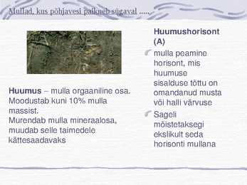 Muld-Esitlus #5