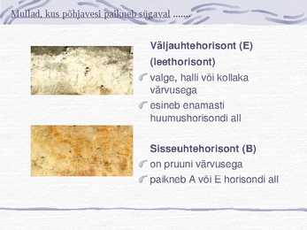 Muld-Esitlus #6