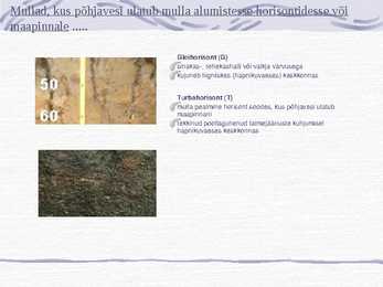 Muld-Esitlus #8