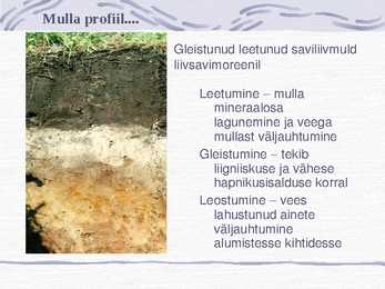 Muld-Esitlus #9