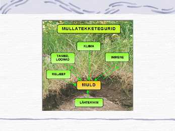 Muld-Esitlus