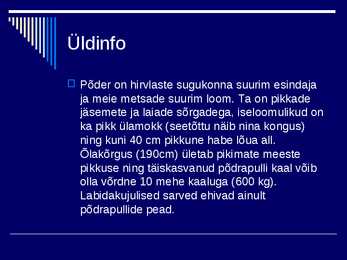 Põder #2