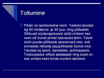 Põder #3