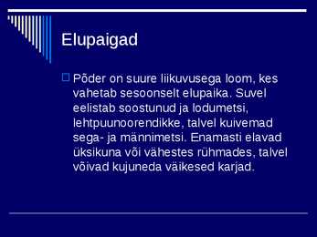 Põder #4