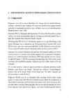 II Maailmasõja Lahingumoona Analüüs #6