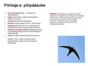 Linnud-powerpoint #3