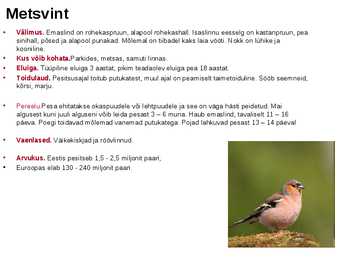 Linnud-powerpoint #7
