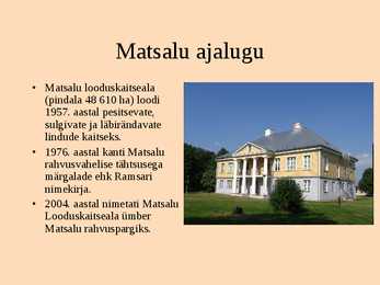 Matsalu rahvuspark #2