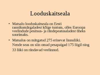 Matsalu rahvuspark #5