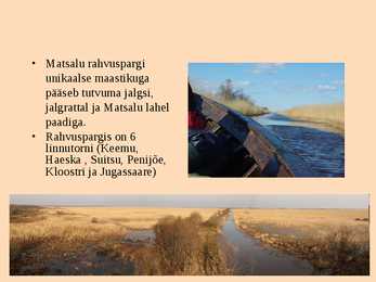 Matsalu rahvuspark #8