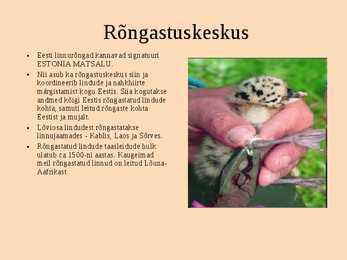 Matsalu rahvuspark #10