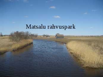Matsalu rahvuspark